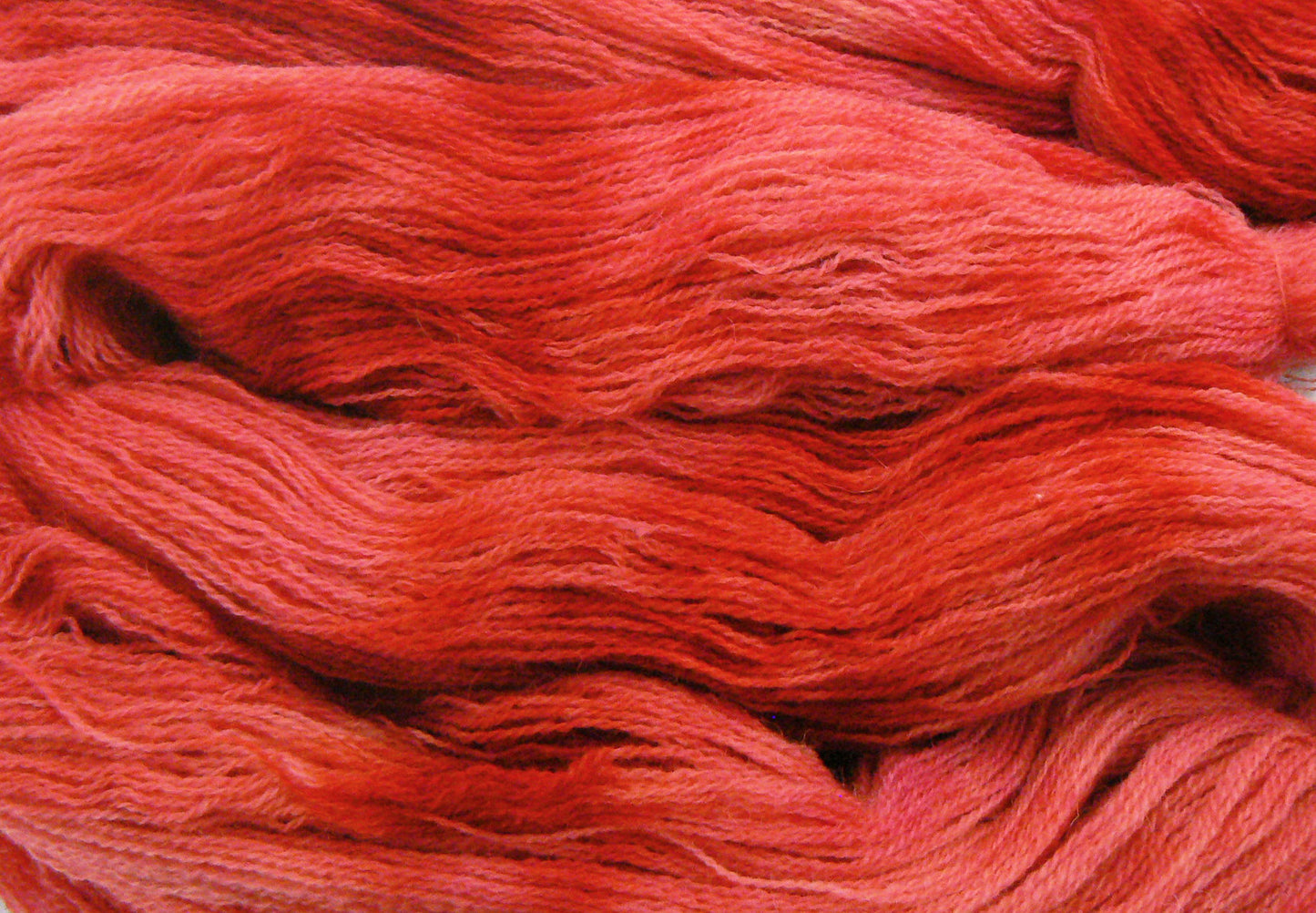 Red Poppies, Shetland Lace