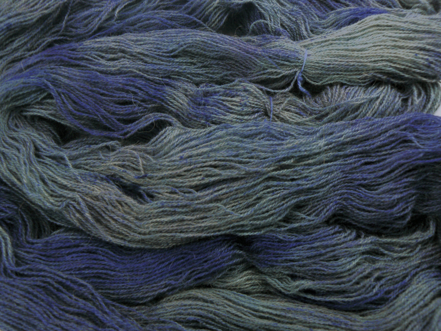 Mysteries of the Ocean, Baby Camel Lace