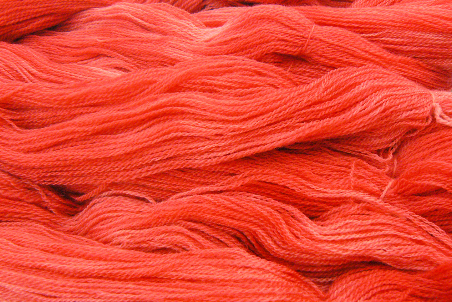 Perfectly Poppy, Merino Fine Lace