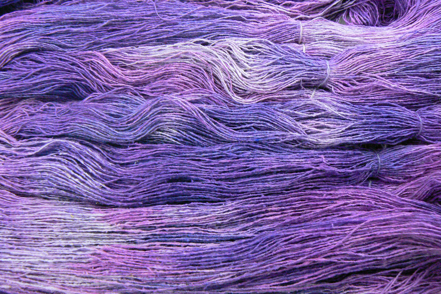 Deep Purple Dahlia, Rough Silk Lace